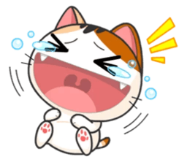 :c6: