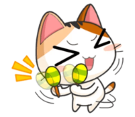 :c8: