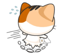 :c14: