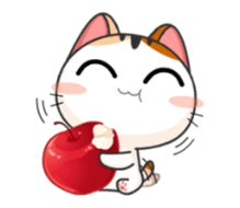 :c18: