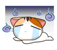 :c24: