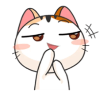 cute cat28 :c28: :c28: