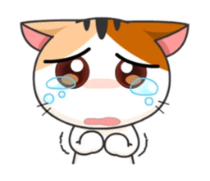 :c37: