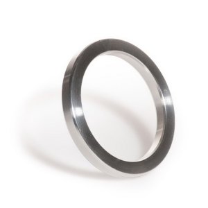 joint ring gasket SS.jpg