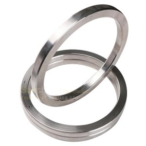 joint ring gasket SS 2_.jpg