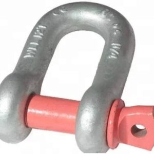 shackle D galv 1.jpg