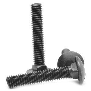 carriage bolt CS 1.jpg