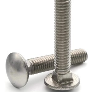 carriage bolt SS 1.jpg