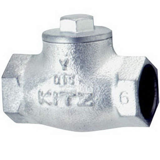 check valve cast iron.jpg