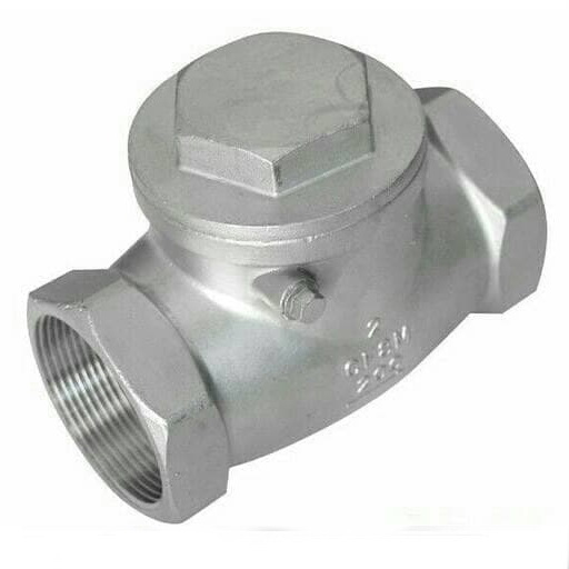 check valve SS.jpg