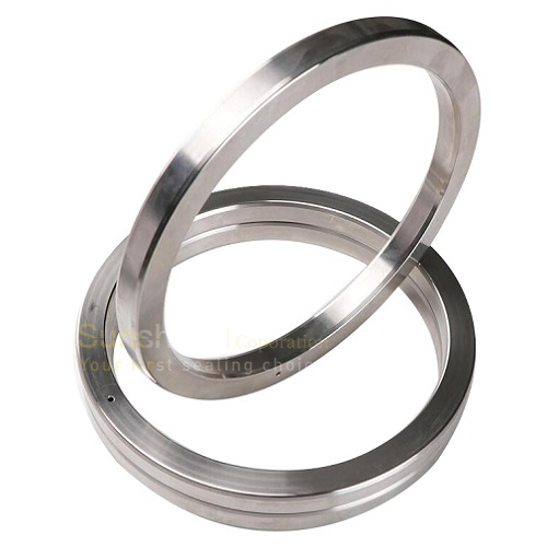 joint ring gasket SS 2_.jpg