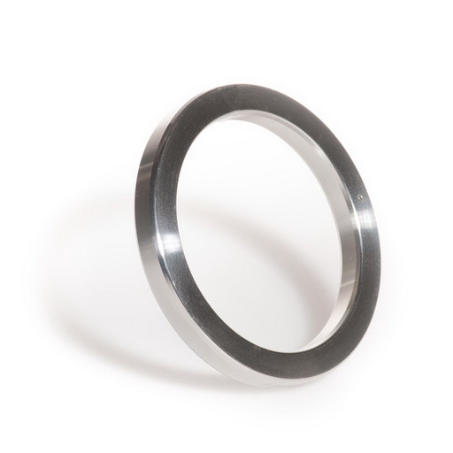 joint ring gasket SS.jpg