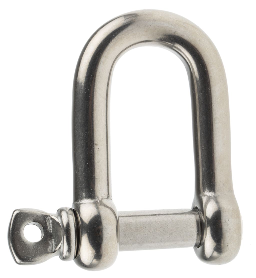 shackle D SS 2.jpeg