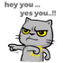 (angrycat)