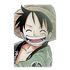 (luffy29)