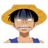 (luffy9)