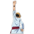 (luffy29b)