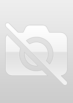 [ise]Record Forum as mp4
